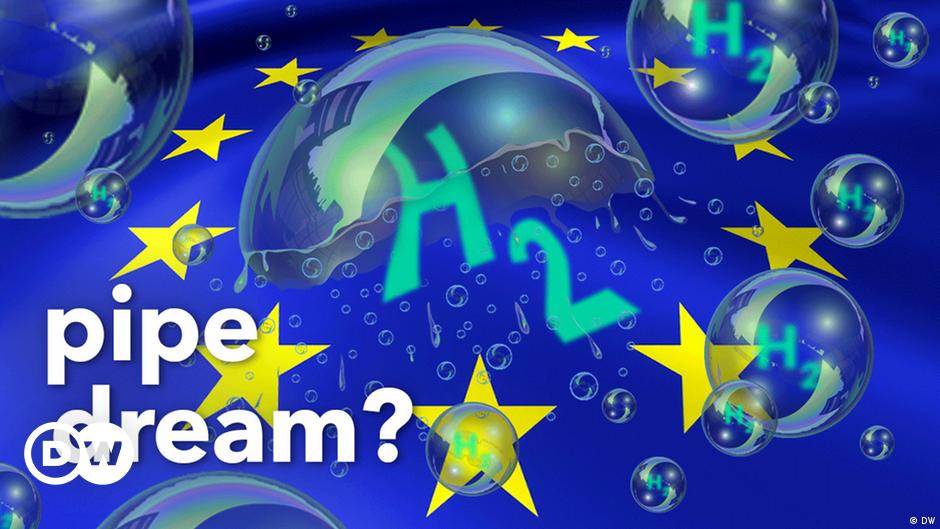 Is Hydrogen the Champagne of Energy?