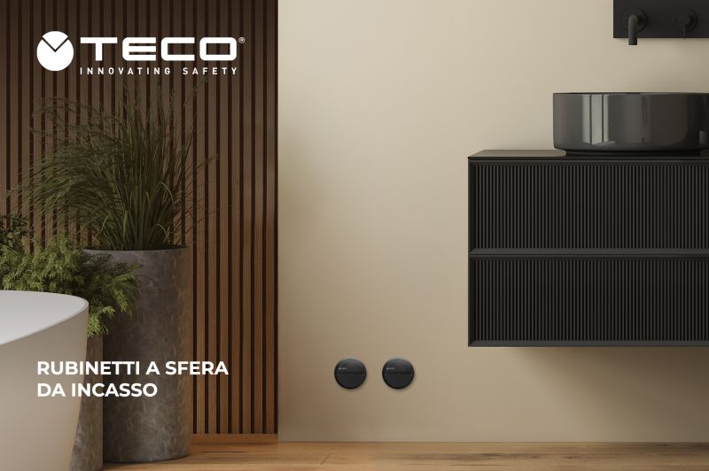 Order your TECO valves from us