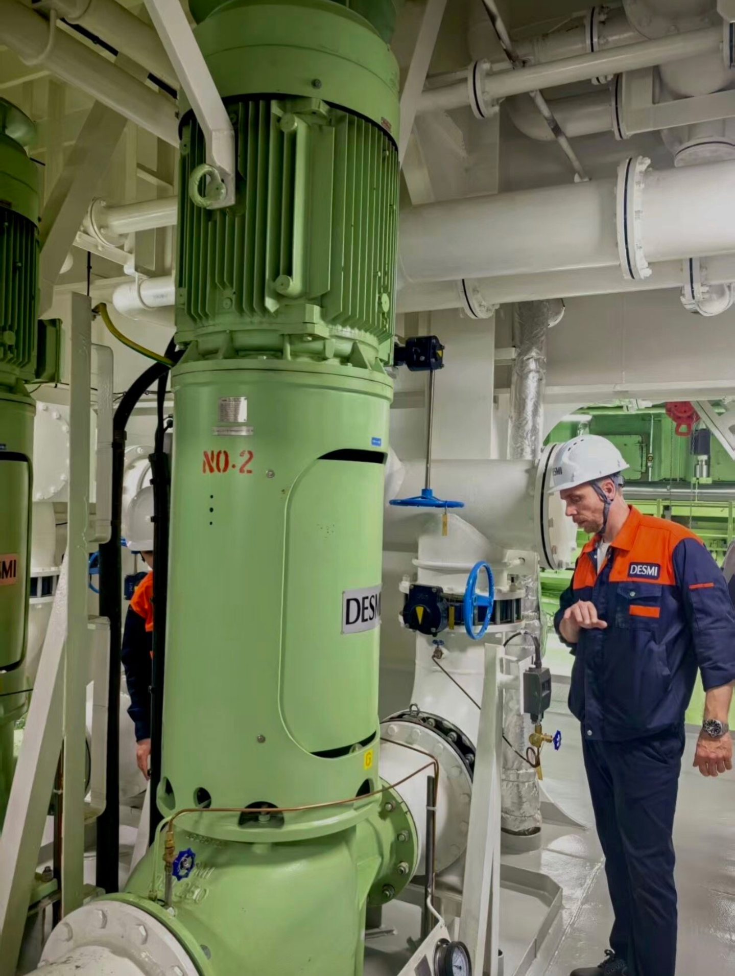 DESMI pump in the engine room with a service engineer